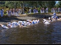 2018-06-29 1163-border